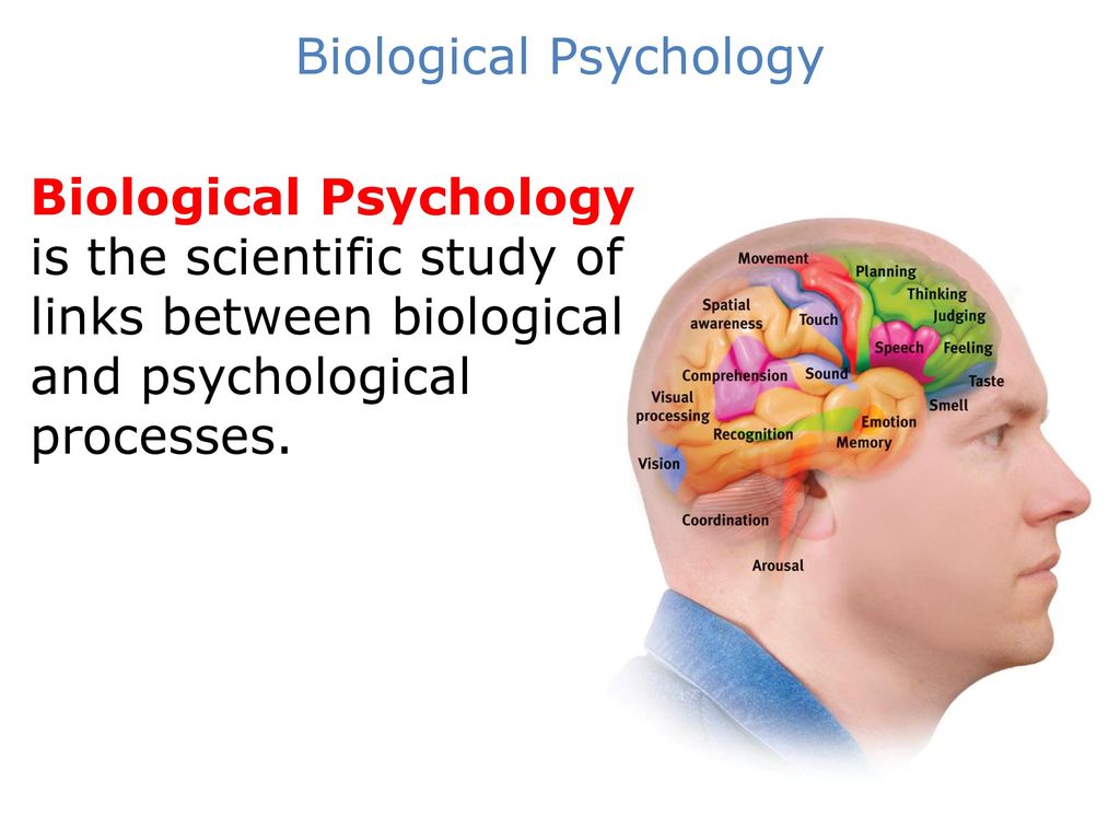 History of Biological Psychology - ppt download